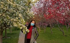 歪歪漫画登录页面登录秋蝉